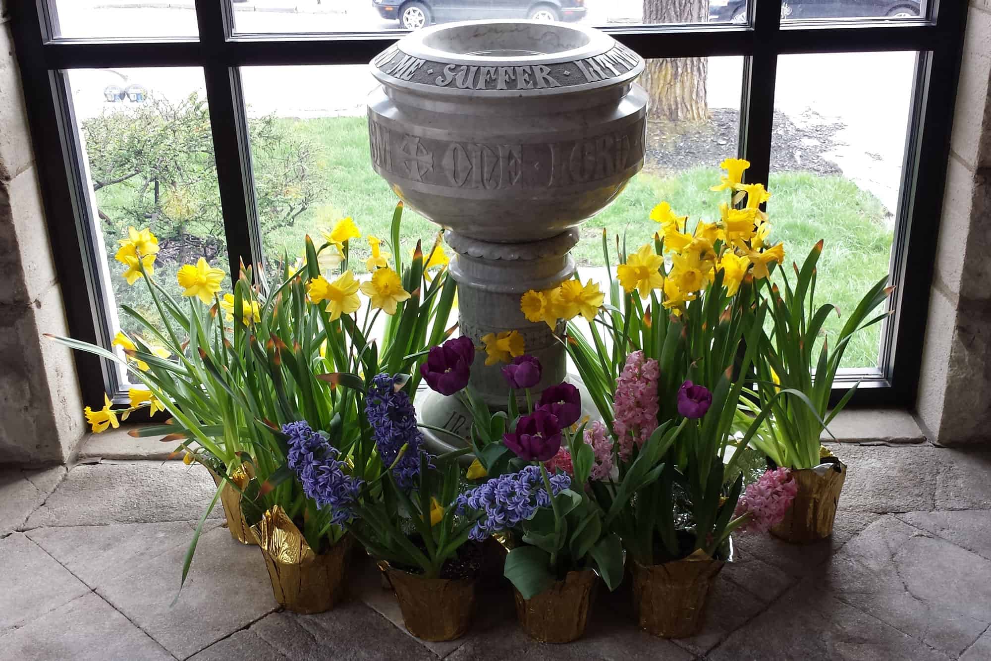 Flower display and font at Calvary Episcopal Church with colorful spring blooms.